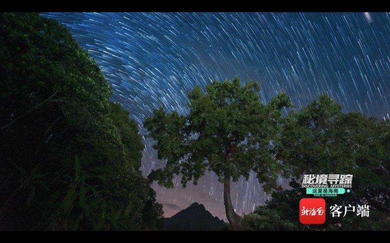 次元喵
